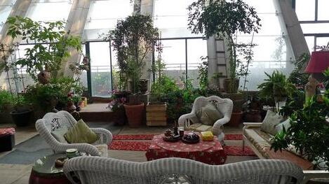 掌握這些知識，養(yǎng)好水培植物就這么簡單