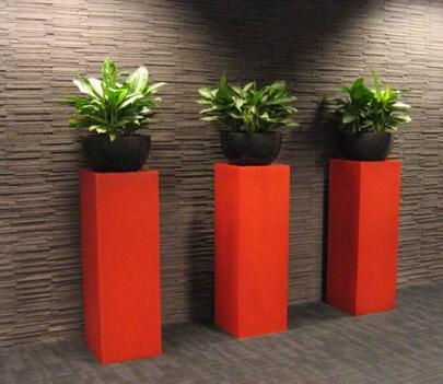 室內(nèi)植物養(yǎng)護應(yīng)該注意什么