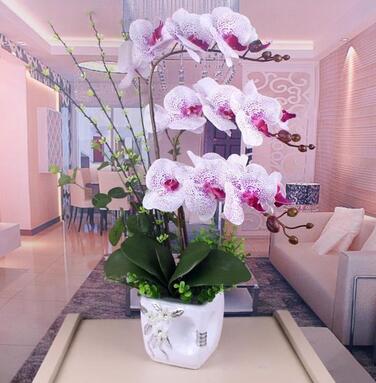 教你學(xué)會該如何給女士買鮮花