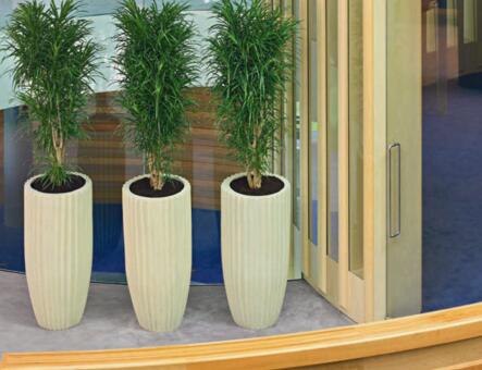 夏季花卉植物養(yǎng)護有哪些細節(jié)講究